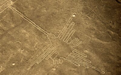 NASCA: 84 años de historia